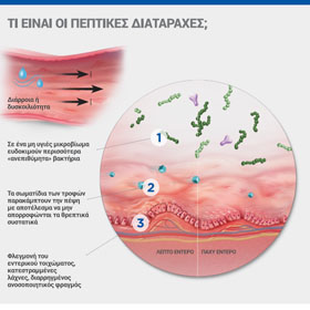Πλαστικοποιημένη κάρτα PD ActivBiome+