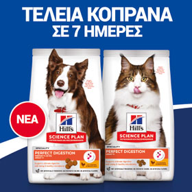 Έντυπο υλικό προς διανομή SP Perfect Digestion