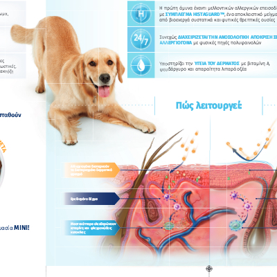 Σελίδες Κλειδιού Derm Defense
