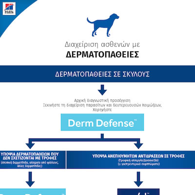 Derm Canine Πρωτόκολλο