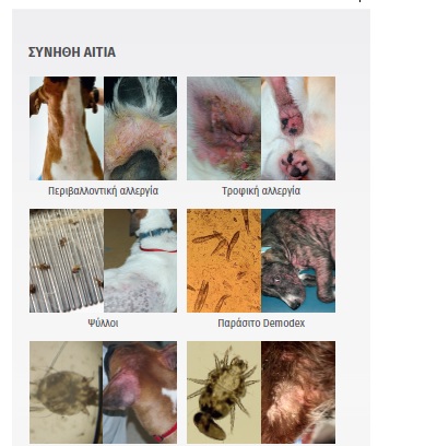 Κατανόηση και διαχείριση δερματοπαθειών