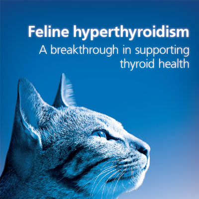 Υπερθυρεοειδισμός στις γάτες