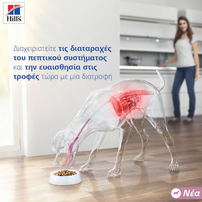 Detailer i/d Sensitive