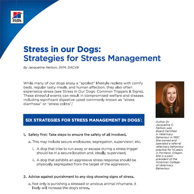 Διαχείριση στρες στους σκύλους