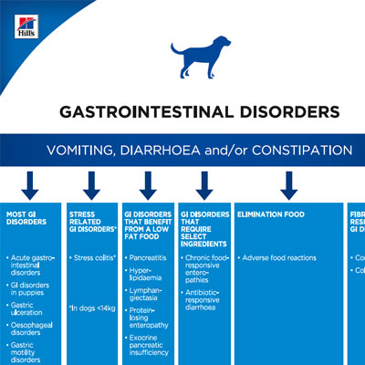 Πρωτόκολλο διαχείρισης σκύλου