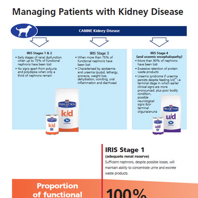Πρωτόκολλο διαχείρισης νεφρικής νόσου