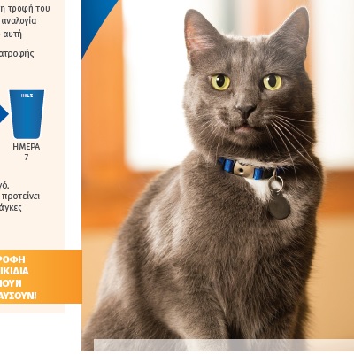 Σελίδες κλειδιού για τη γάτα