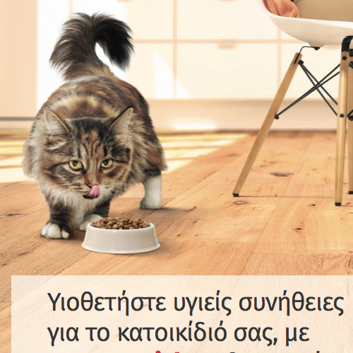 Φυλλάδιο Καταναλωτή για τη γάτα
