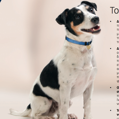  Διατροφικές πληροφορίες