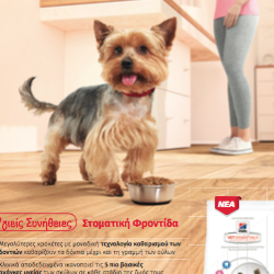 Αφίσα σκύλου