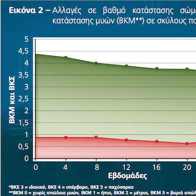 Έκθεση κλινικής τεκμηρίωσης για Διαχείριση Βάρους του σκύλου