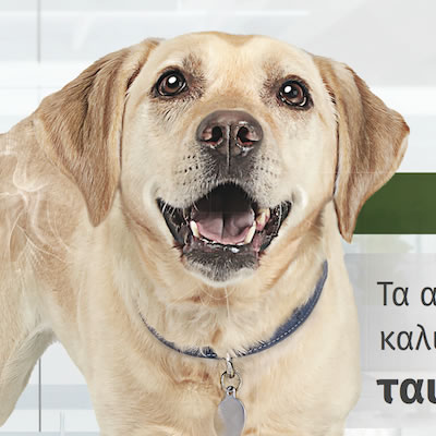 Metabolic Plus Mobility Detailer για το σκύλο