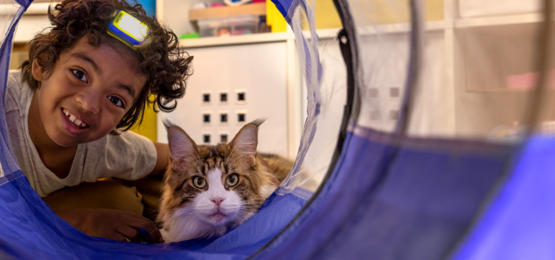 Young boy with his brown and white cat at a pet obstacle course