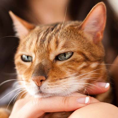 Η Φιλοσοφία